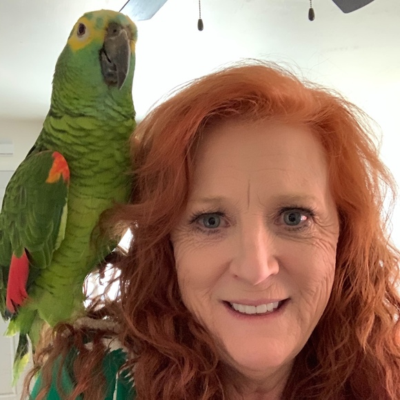 parrothead60
